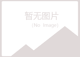 师宗县语蝶服务有限公司